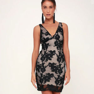 Lulu’s Black and Nude Bodycon